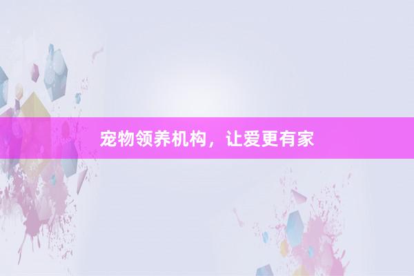 宠物领养机构，让爱更有家