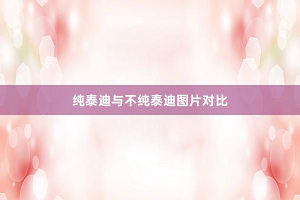 纯泰迪与不纯泰迪图片对比