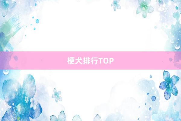 梗犬排行TOP