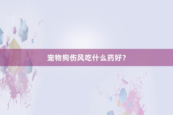 宠物狗伤风吃什么药好？